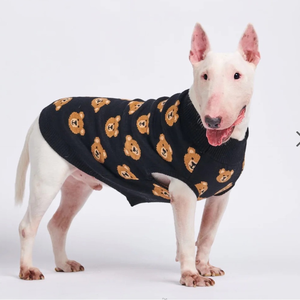 Spark Paws Broken Teddy Bear Knit Dog Sweater in black